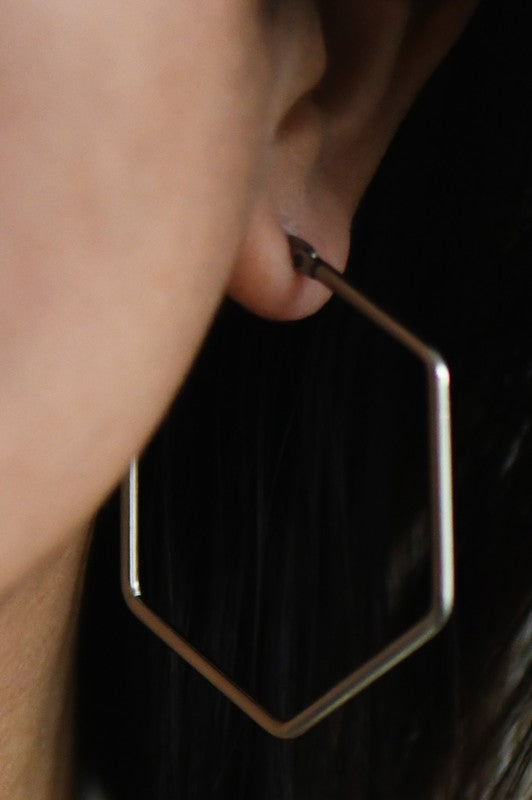 Stainless Steel Hexagon Hoop