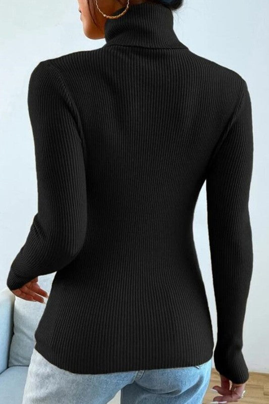 Ribbed Knit Turtleneck Swater