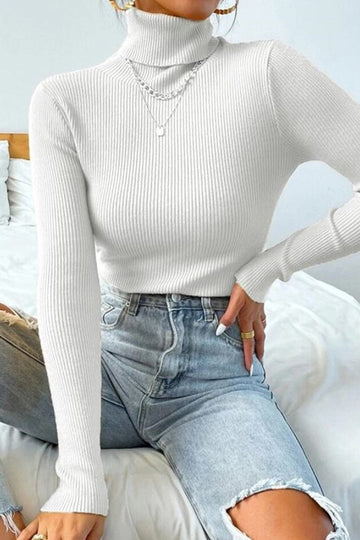 Ribbed Knit Turtleneck Swater