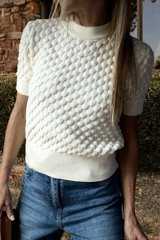 Textured Knit Short Sleeve Sweater Top