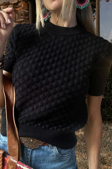 Textured Knit Short Sleeve Sweater Top