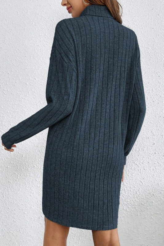 Turtle Neck Ribbed Shift Dress