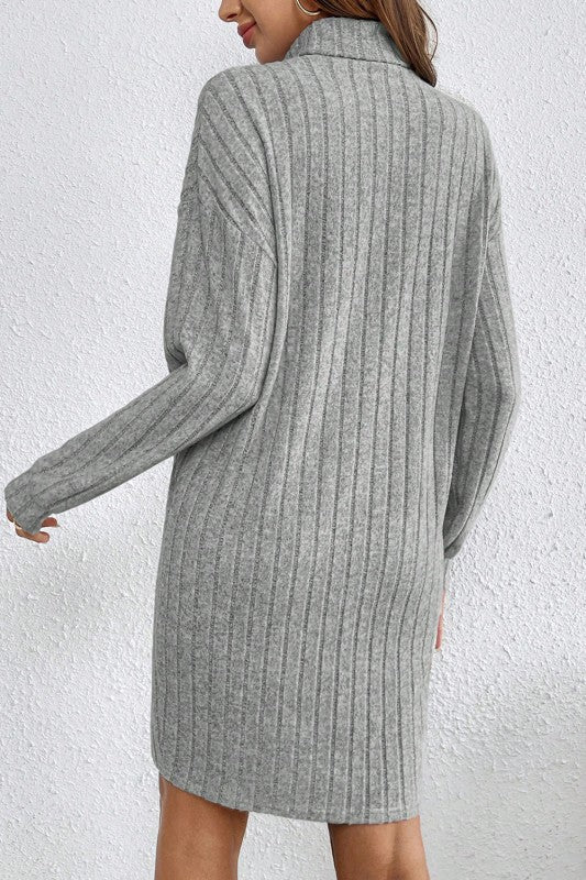 Turtle Neck Ribbed Shift Dress