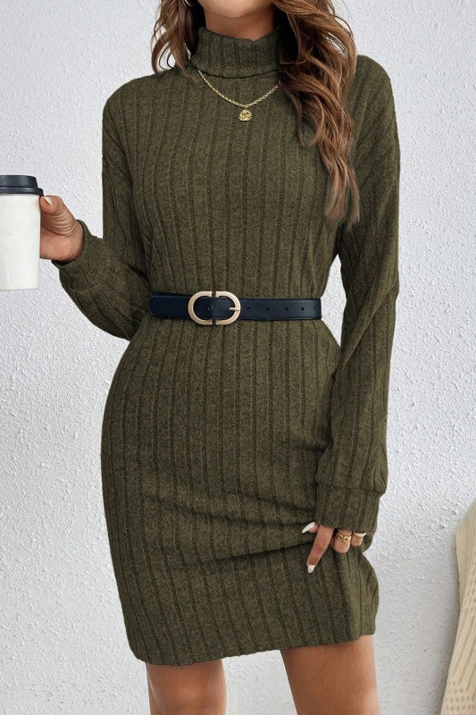 Turtle Neck Ribbed Shift Dress