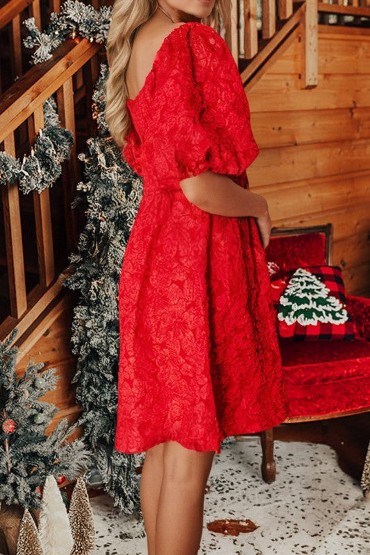 Red Jacquard Holiday Dress!